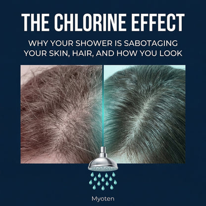 Myoten Filtered Showerhead + 1 FREE Filter (3-Month Kit)